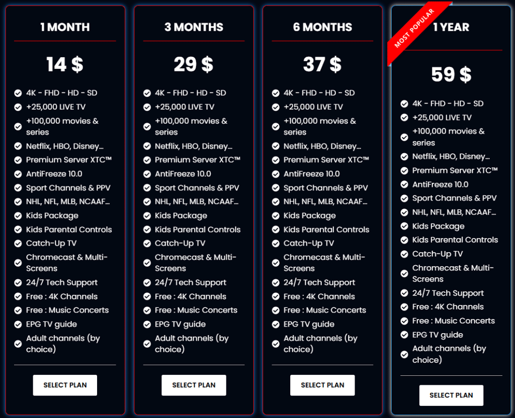 Pricing Plans and Subscription Options