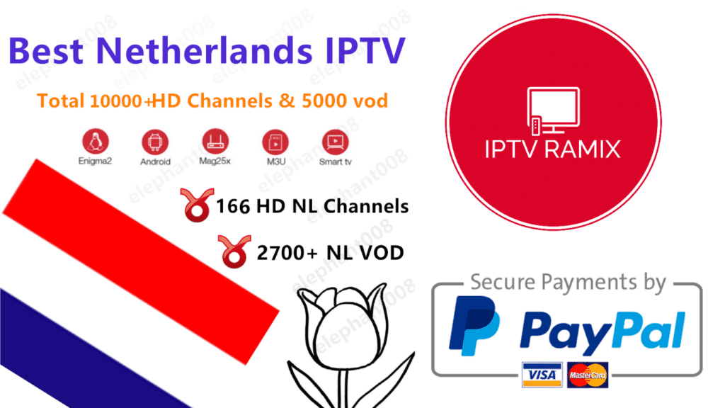 IPTV Nederland Kopen Service 2025